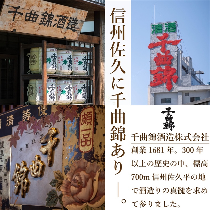 【千曲錦酒造】UMESHU 梅酒 300ml×12本（北海道・沖縄県・離島は配送不可）信州　佐久　地酒　晩酌　長野　リキュール
