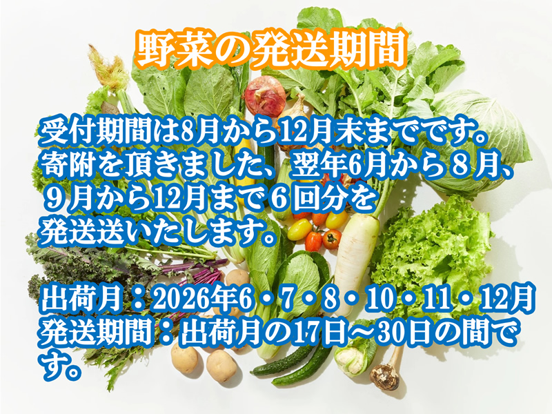 【2026年先行予約・6回定期便】とみずく農園の季節の野菜セット（北海道・沖縄県・離島は配送不可）無農薬 高原野菜 旬 新鮮 詰合せ 【 産地直送 産直 季節の野菜 旬の野菜 有機野菜 有機栽培 農薬 化学肥料 不使用 長野県 佐久市 旬彩】
