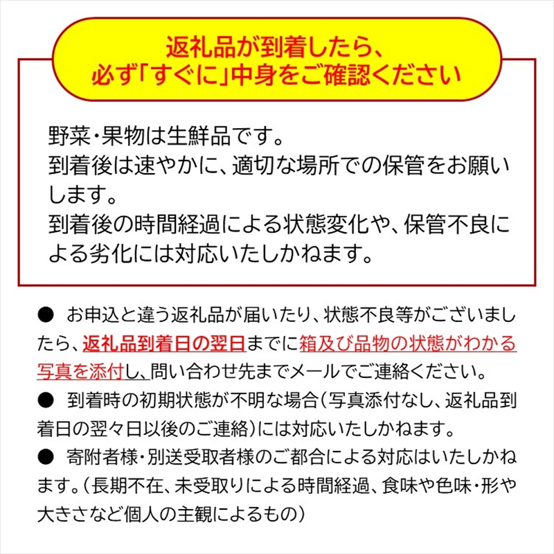 【先行予約・2026年9月下旬発送】令和8年産ホシノマチプルーン（サンプルーン）約1.6kg ＜沖縄県・離島は発送不可＞ 長野県 信州 佐久市 発祥 セイヨウスモモ
