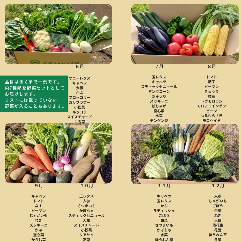 【先行予約〈出荷時期:2026年6月出荷〉】朝採れおまかせ旬の高原野菜 7種セット (北海道・沖縄県・離島は配送不可)　長野県　信州　栽培期間中　無農薬　産地直送　季節　旬　岩渕なないろ農園 旬彩
