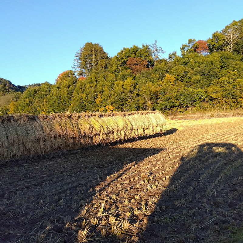 【定期便3か月】玄米餅2キロ（2025年11月～2026年3月出荷／沖縄・離島は配送不可）　正月　長野県　信州【 信州 餅 お餅 生餅 長野県 佐久市 】