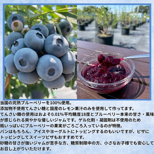 長野県産 ブルーベリージャム125gとハチミツ100gセット（各1本/化粧箱入） 信州 佐久市 無添加 国産 アカシア 蜂蜜 ハニー パン ヨーグルト