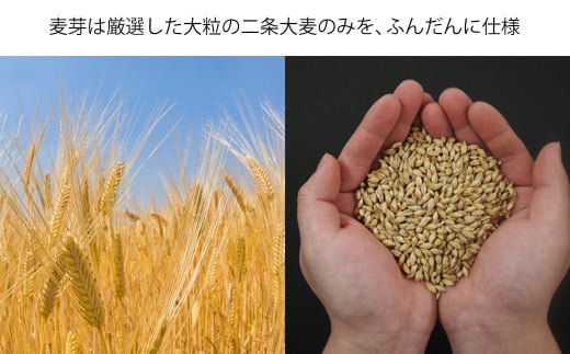 【10ヶ月定期便】【THE軽井沢ビール】クラフトビール350ml　10種30缶　飲み比べ　詰合せ