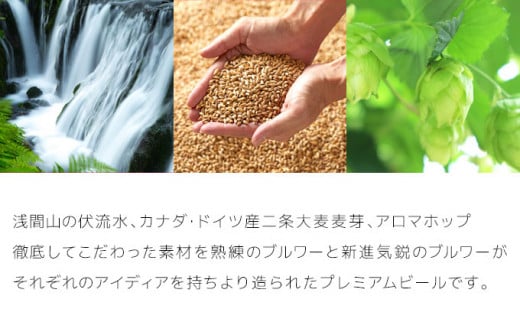 【4ヶ月定期便】【THE軽井沢ビール】クラフトビール350ml　6種6缶　飲み比べ　詰合せ