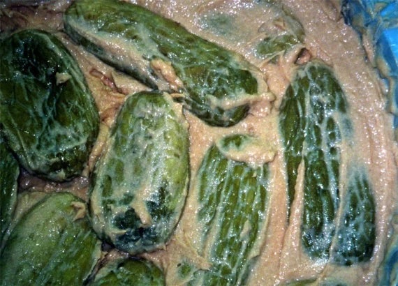 白瓜の粕漬（2025年10月上旬頃～順次発送）【ごはんのお供 つけもの 漬け物 漬物 白瓜 粕漬 信州 瓜の粕漬け おつまみ おかず 長野県 佐久市 】