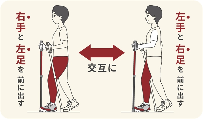 SINANO『しっかり２本杖（ボルドー）』＜沖縄県・離島は配送不可＞  シナノ ステッキ ポール 歩行 ウォーキング サポート 高齢者 介護 リハビリ 訓練 転倒防止 父の日 母の日 敬老 健康 ギフト プレゼント 贈り物