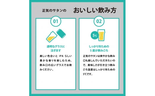 【正気のサタン】クラフトビール350ml×24缶