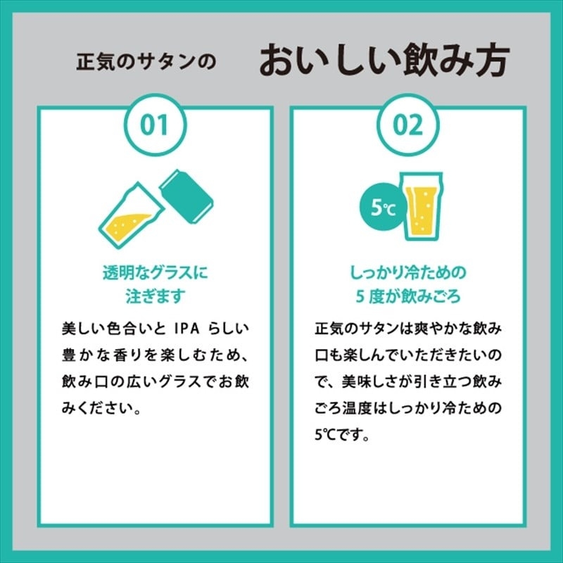 【定期便9カ月】正気のサタン 350ml 48本 クラフトビール 詰合せ セット 低アルコール お酒 限定品 地ビール IPA ipa | 長野県 佐久市 信州 ヤッホーブルーイング よなよなの里
