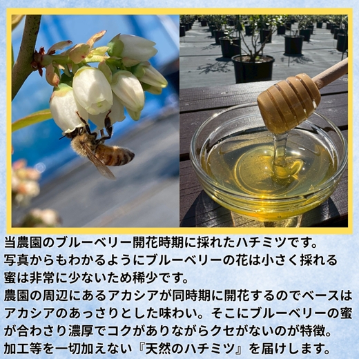 長野県産 ブルーベリージャム125gとハチミツ100gセット（各1本/化粧箱入） 信州 佐久市 無添加 国産 アカシア 蜂蜜 ハニー パン ヨーグルト