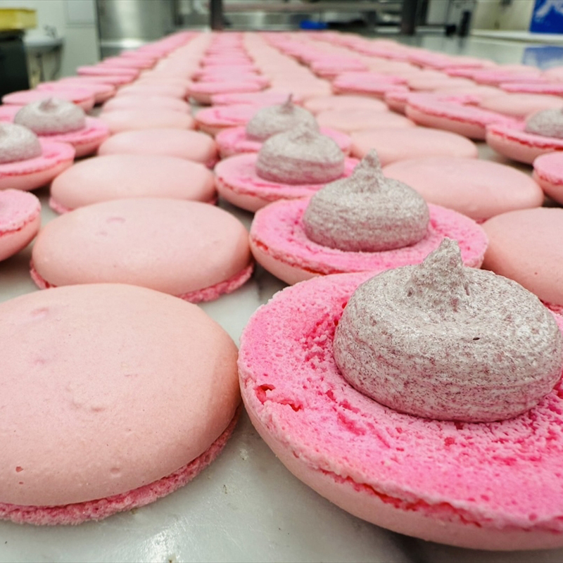 【Yasunori Okada】冷凍マカロン8個 詰め合わせ（北海道・沖縄県・離島は配送不可） | セット スイーツ 洋菓子 デザート ギフト プレゼント バレンタイン 信州 長野県 おうちカフェ