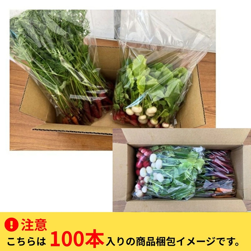 長野県佐久市産『ミニ野菜(根菜類)100本セット』（北海道・沖縄・離島は配送不可） 高原野菜 産地直送 新鮮 旬彩 減農薬 減化学肥料  信州 おまかせ【 長野県 佐久市 】