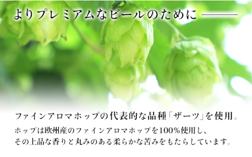 【8ヶ月定期便】【THE軽井沢ビール】クラフトビール350ml　8種24缶飲み比べ