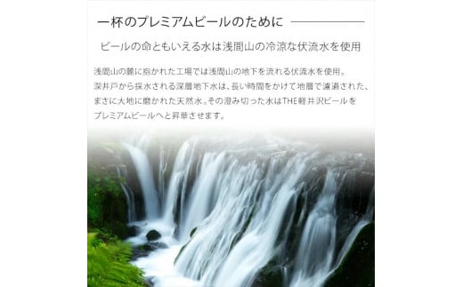 【アルト】クラフトビール350ml　24缶　THE軽井沢ビール　詰合せ