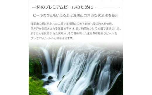 【プレミアム・クリア】クラフトビール330ml　12瓶　THE軽井沢ビール　詰合せ
