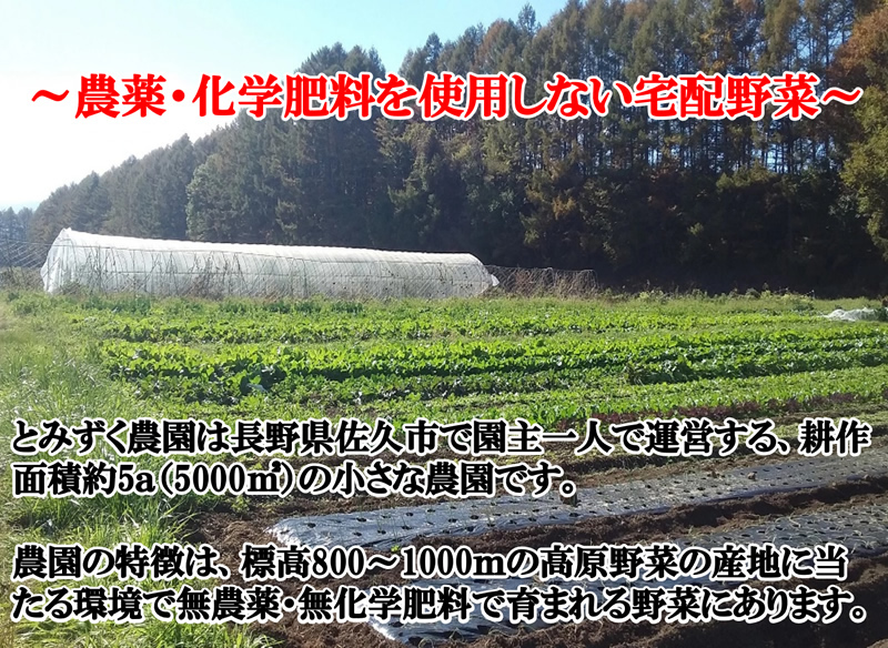 【2026年先行予約・6回定期便】とみずく農園の季節の野菜セット（北海道・沖縄県・離島は配送不可）無農薬 高原野菜 旬 新鮮 詰合せ 【 産地直送 産直 季節の野菜 旬の野菜 有機野菜 有機栽培 農薬 化学肥料 不使用 長野県 佐久市 旬彩】