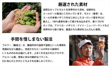 【定期便12カ月】【水曜日のネコ】クラフトビール350ml 3種24本飲み比べ