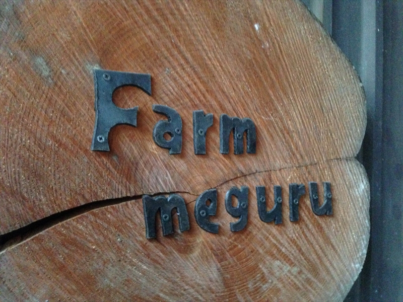 【先行予約】【6ヶ月連続定期便】ニンジンジュース （1000ml×6本入り）＜2025年12月10日以降順次発送＞人参 にんじん 野菜　ジュース 飲料 長野県 信州【 ニンジン にんじん 人参 にんじんジュース 人参ジュース 健康 野菜ジュース 食べるジュース 有機栽培 ニンジン 農業法人 食べるジュース 朝食 長野県 佐久市 Farmめぐる株式会社 旬彩 】