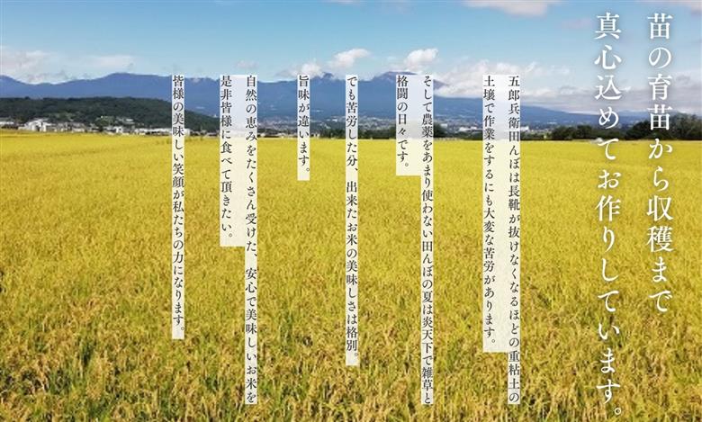 【令和7年産・白米5kg】「五郎兵衛さんのお米」＜2025年10月初旬以降順次配送＞ 長野県 信州 こしひかり【五郎兵衛米 米 コメ 白米 精米 お米 こめ おこめ 備蓄品 仕送り おすそ分け 備蓄米 コシヒカリ こしひかり 長野県 佐久市 】