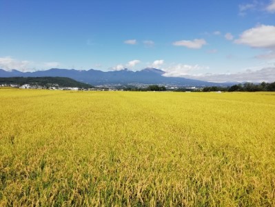 【令和7年産・白米2kg】「五郎兵衛さんのお米」＜2025年10月初旬以降順次配送＞ 長野県 信州 新米 こしひかり【五郎兵衛米 米 コメ 白米 精米 お米 こめ おこめ 備蓄品 仕送り おすそ分け 備蓄米 コシヒカリ こしひかり 長野県 佐久市 】