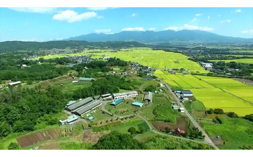 【信濃美味牛】贅沢カット！　サーロインステーキカット　200g×2　計４００ｇ【 肉 牛肉 信濃美味牛 信州牛肉 長野県 佐久市 】