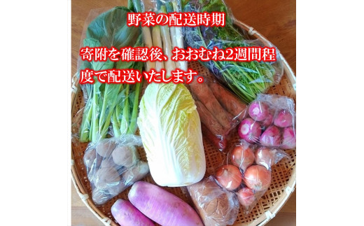 旬の野菜7種『たくみのほほ笑みセット』（2025年7～12月出荷／北海道・九州・沖縄県・離島は配送不可） 旬彩 長野県 信州 おまかせ 高原  産地直送 季節 詰合せ 有機 栽培