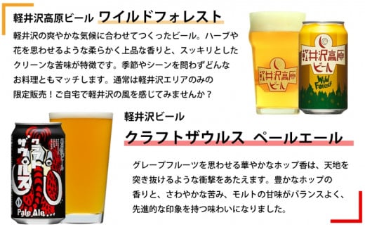 【定期便12カ月】【よなよなエール】クラフトビール350ml　6種24本飲み比べ