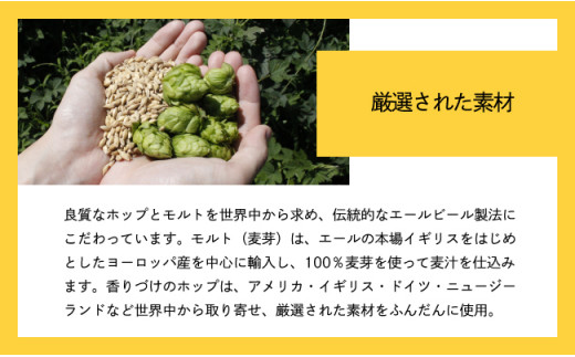 【定期便3ヶ月】【水曜日のネコ】クラフトビール350ml×24缶
