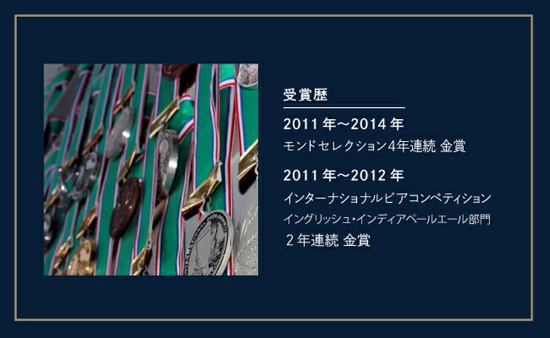 【定期便6カ月】インドの青鬼 350ml 48本 クラフトビール 詰合せ セット 地ビール IPA ipa | 長野県 佐久市 信州 ヤッホーブルーイング よなよなの里