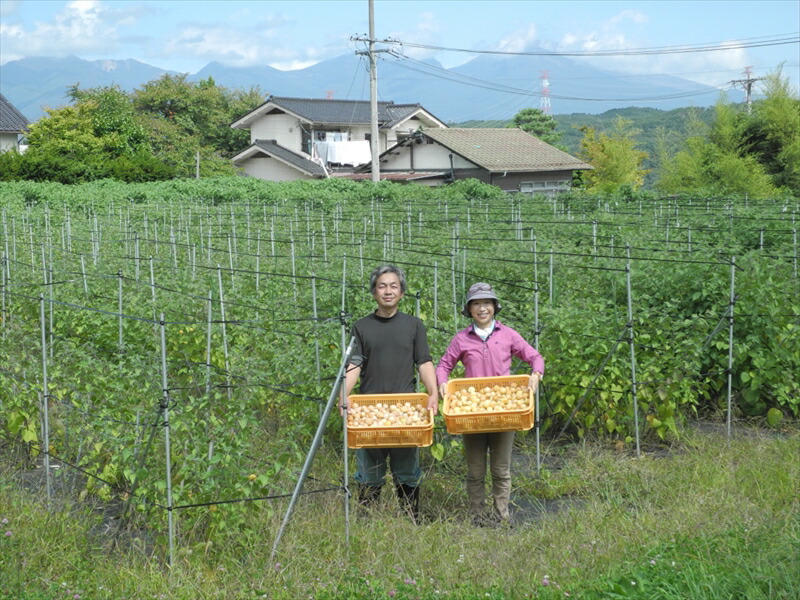 《有機JAS取得》「飲む宝石」ほおずき100％ジュース180ml×3本　濃厚　アロマ　スーパーフード＜2025年4月1日出荷開始～2025年12月25日出荷終了＞【 食用 鬼灯 長野県 佐久市 】