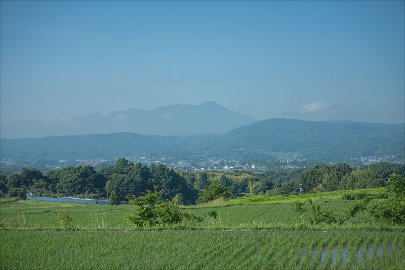 佐久の花酒造『純米大吟醸 八重原ひとごこち』720ml×1本（沖縄・離島配送不可）長野県　信州　地酒　日本酒　アルコール【 長野県 佐久市 】