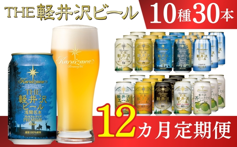 【12ヶ月定期便】【THE軽井沢ビール】クラフトビール350ml　10種30缶　飲み比べ　詰合せ