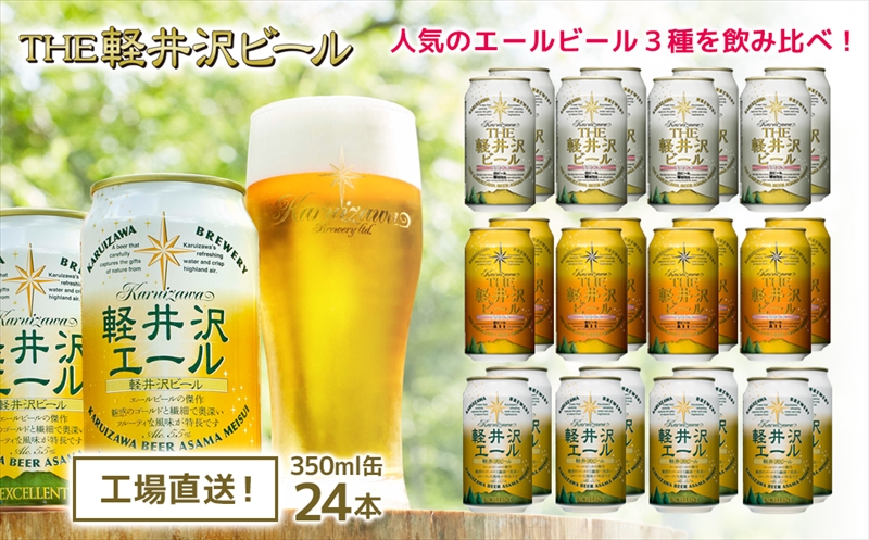 【12ヶ月定期便】【THE軽井沢ビール】クラフトビール350ml　3種24缶　飲み比べ　詰合せ