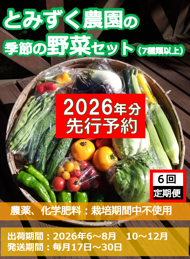 【2026年先行予約・6回定期便】とみずく農園の季節の野菜セット（北海道・沖縄県・離島は配送不可）無農薬 高原野菜 旬 新鮮 詰合せ 【 産地直送 産直 季節の野菜 旬の野菜 有機野菜 有機栽培 農薬 化学肥料 不使用 長野県 佐久市 旬彩】