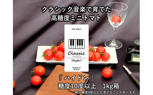 【先行予約・2026年2月以降発送】高糖度クラシックミニトマト『ハイドン』約1kg箱＜北海道・沖縄県・離島は配送不可＞　長野県　信州　佐久市　野菜　旬彩　プチ　小粒