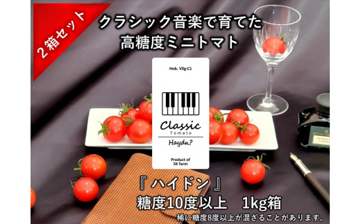 【先行予約・2026年2月以降発送】高糖度クラシックミニトマト『ハイドン』約1kg箱 x 2箱＜北海道・沖縄県・離島は配送不可＞　長野県　信州　佐久市　野菜　旬彩　プチ　小粒
