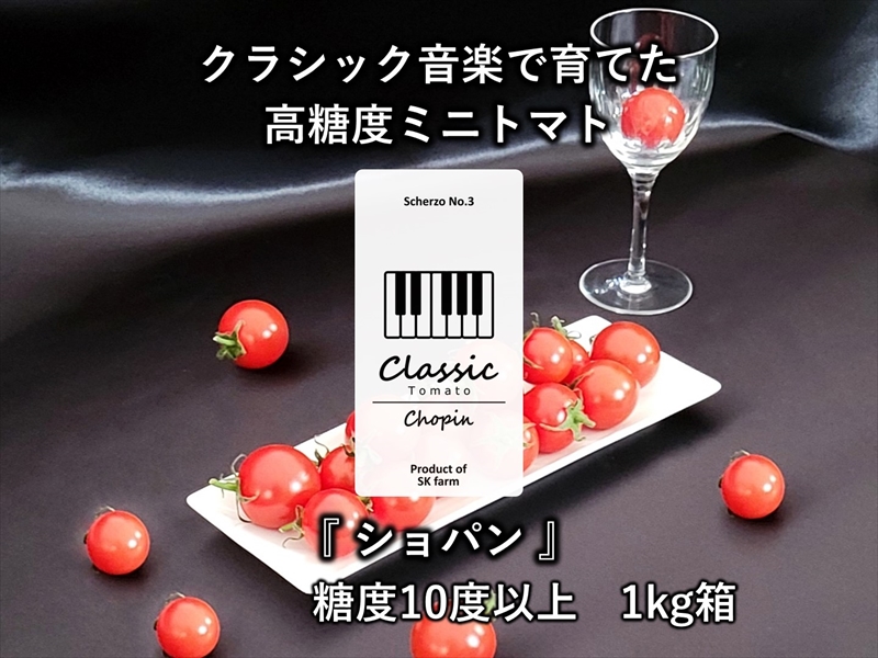 【先行予約・2026年2月以降発送】高糖度クラシックミニトマト『ショパン』約1kg箱＜北海道・沖縄県・離島は発送不可＞　長野県　信州　佐久市　野菜　旬彩　プチ　小粒