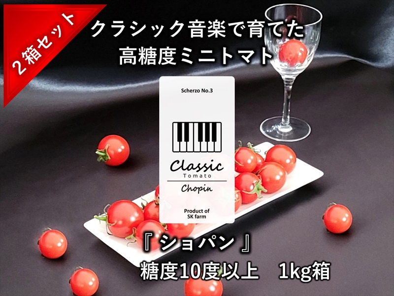 【先行予約・2026年2月以降発送】高糖度クラシックミニトマト『ショパン』約1kg箱 x 2箱＜北海道・沖縄県・離島は発送不可＞　長野県　信州　佐久市　野菜　旬彩　プチ　小粒