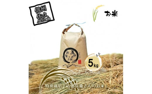 【令和7年産・白米5kg】「五郎兵衛さんのお米」＜2025年10月初旬以降順次配送＞ 長野県 信州 新米 こしひかり【五郎兵衛米 米 コメ 白米 精米 お米 こめ おこめ 備蓄品 仕送り おすそ分け 備蓄米 コシヒカリ こしひかり 長野県 佐久市 】