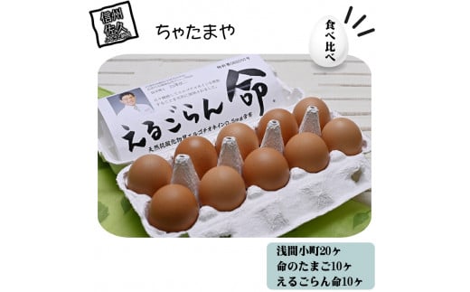 ちゃたまや 浅間小町 20ヶ と 命のたまご 10ヶ と えるごらん命 10ヶ 【 たまご 卵 玉子 ちゃたまや 「浅間小町」は長野県知事賞を受賞のたまご 発芽玄米育ちの「命のたまご」 赤鶏卵 コク 美味 濃厚 たまごかけごはん にも絶品 長野県 佐久市 】