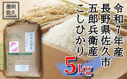 【令和7年産・白米５kg】五郎兵衛産こしひかり（北海道・沖縄・離島は配送不可）信州 長野県 佐久市 浅科 精米 【米 コメ 白米 精米 お米 こめ おこめ 備蓄品 仕送り おすそ分け 備蓄米 コシヒカリ こしひかり 長野県 佐久市 】