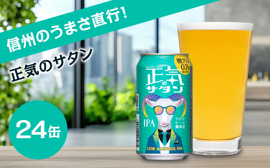 【正気のサタン】クラフトビール350ml×24缶