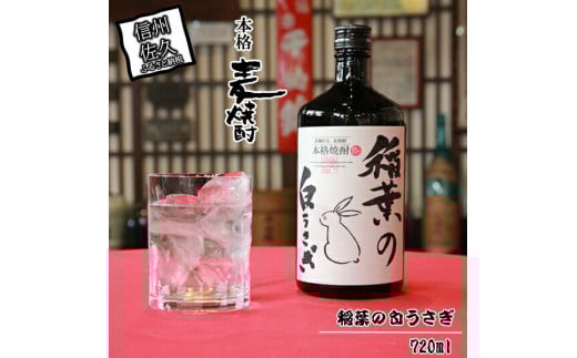 本格麦焼酎　稲葉の白うさぎ 【 お酒 焼酎 長野県 佐久市 】