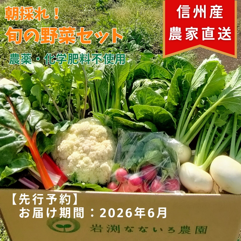 【先行予約〈出荷時期:2026年6月出荷〉】朝採れおまかせ旬の高原野菜 7種セット (北海道・沖縄県・離島は配送不可)　長野県　信州　栽培期間中　無農薬　産地直送　季節　旬　岩渕なないろ農園 旬彩