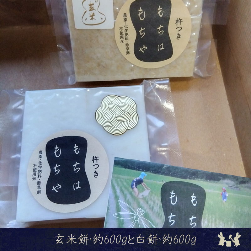 玄米餅・約600gと白餅・約600g（2025年11月～2026年3月出荷／沖縄・離島は配送不可）　正月　長野県　信州【 信州 餅 お餅 生餅 長野県 佐久市 】