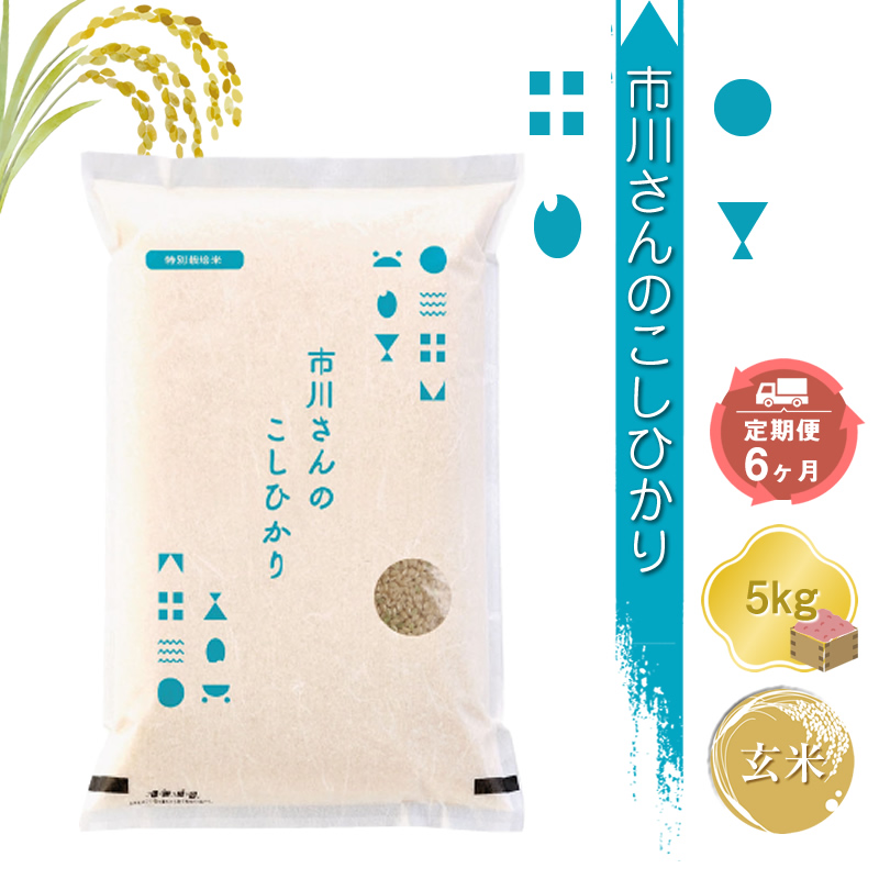 【令和7年産・玄米5kg×定期便6カ月】特別栽培米 市川さんのこしひかり 信州【 米 コメ 備蓄品 仕送り おすそ分け 備蓄米 長野県 佐久市 】