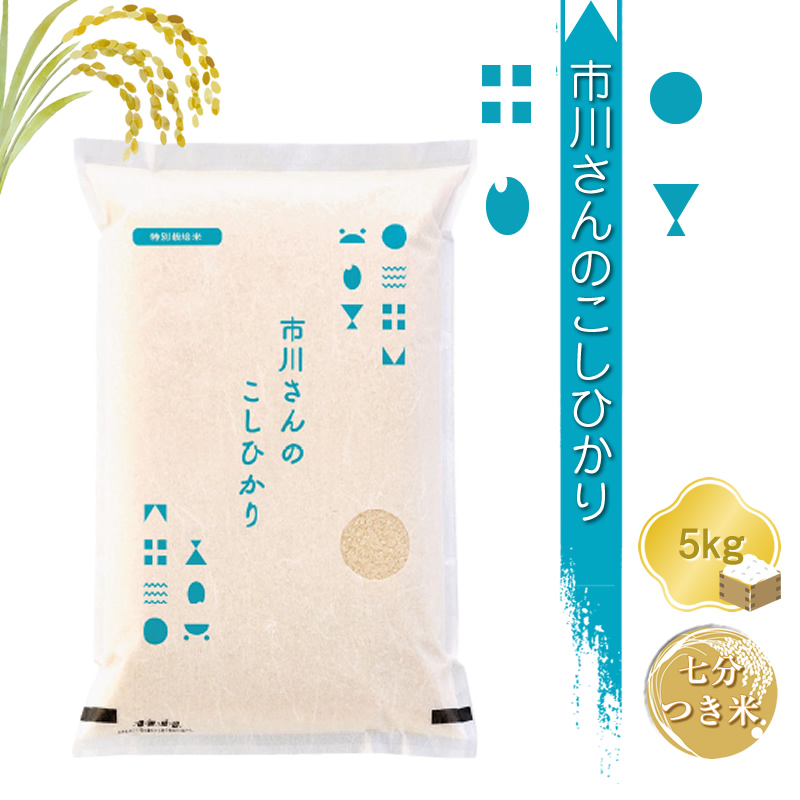 【令和7年産・7分つき米5kg】特別栽培米 市川さんのこしひかり 信州【 米 コメ 備蓄品 仕送り おすそ分け 備蓄米 長野県 佐久市 】