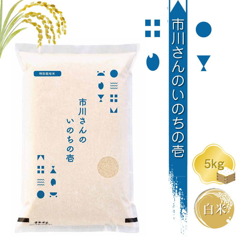 【令和7年産・白米5kg】特別栽培米 市川さんのいのちの壱 信州【 米 コメ 備蓄品 仕送り おすそ分け 備蓄米 長野県 佐久市 】