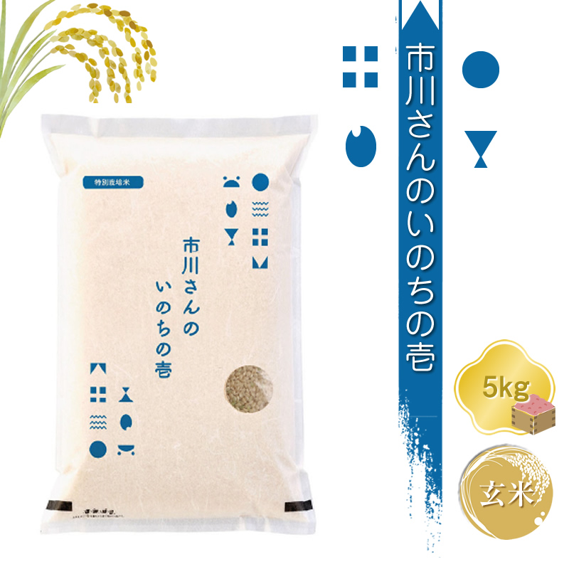 【令和7年産・玄米5kg】特別栽培米 市川さんのいのちの壱 信州【 米 コメ 備蓄品 仕送り おすそ分け 備蓄米 長野県 佐久市 】