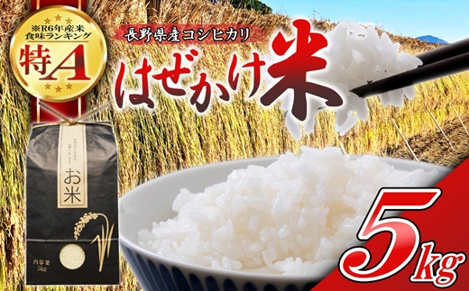 【令和7年産・白米５kg】長野県産こしひかり はぜかけ米（北海道・沖縄県・離島は配送不可）精米 産地直送 信州 長野県 佐久市 美味しい 新米 うるち米