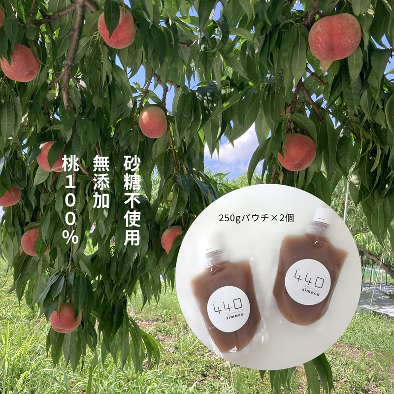 信州産完熟桃（あかつき）のピューレ 250gパウチ×2個　|　長野県　佐久市　国産　フルーツ　果物　ピーチ　無糖　無添加　もも　モモ